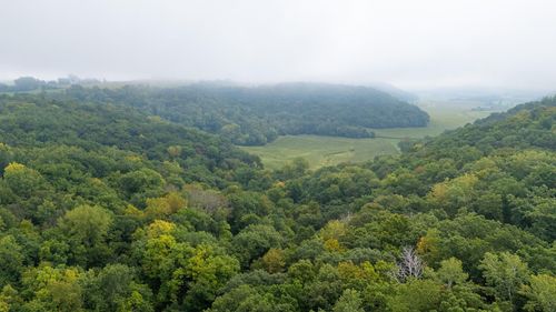 4 Goat Back Rd, Pepin, WI, 54759 | Card Image