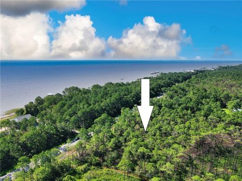 0 Dauphin Island Pkwy, Coden, AL, 36523 | Card Image