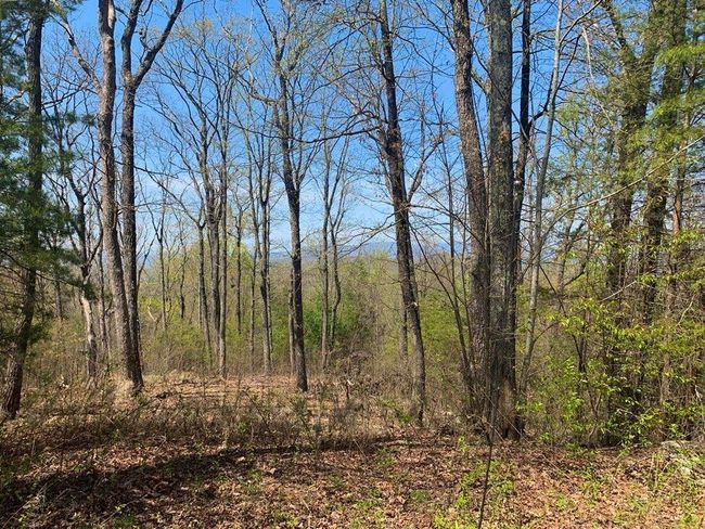 91 - 43 Old Burnt Mountain Rd, Home with 0 bedrooms, 0 bathrooms and null parking in Ellijay GA | Image 27