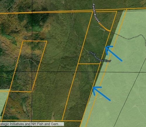 0 Off Bog Brook Road, Milan, NH, 03588 | Card Image