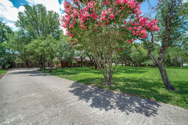 100 End Gate Ln, House other with 3 bedrooms, 2 bathrooms and null parking in Shavano Park TX | Image 4
