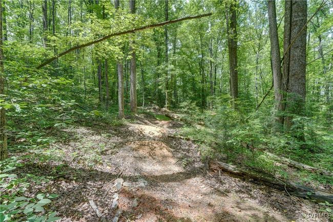 15368 W Fork Dr, House other with 4 bedrooms, 3 bathrooms and null parking in Glen Allen VA | Image 39