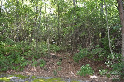 9-Lot 9 Galax Ln, Brevard, NC, 28712-7824 | Card Image