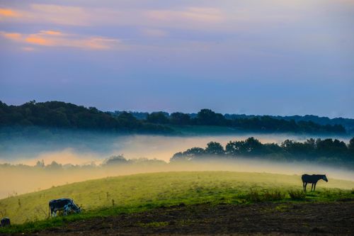 14093 Madison Pike, Morning View, KY, 41063-8770 | Card Image