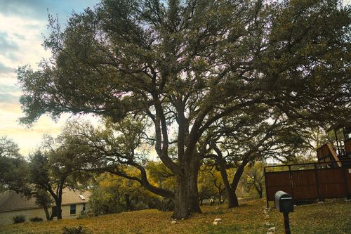 15505 Enid Dr, Austin, TX, 78734-1766 | Card Image