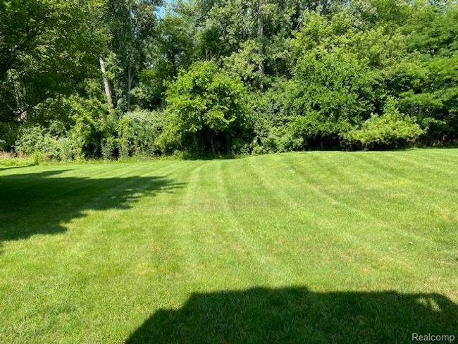 IMG_3706.jpg | Image 9