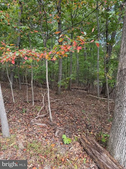 1832 Ridge Rd, HAYMARKET, VA, 20169-1303 | Card Image