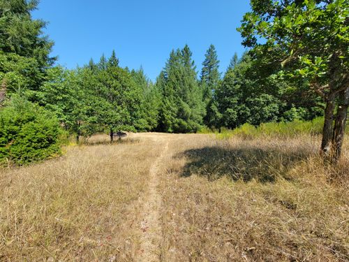 6697 Briceland-Thorne Rd, Garberville, CA, 95542-9611 | Card Image