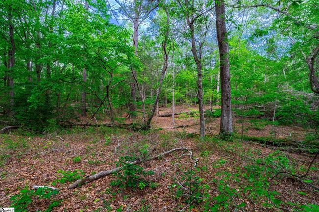 00 Watt Rogers Rd, Home with 0 bedrooms, 0 bathrooms and null parking in Pelzer SC | Image 6
