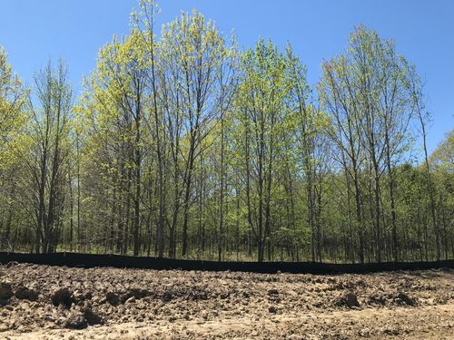 1 Dorothy Way, Spring Lake Twp, MN, 55372 | Card Image