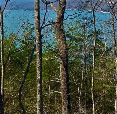 1 Branham Rd, Ten Mile, TN, 37880 | Card Image