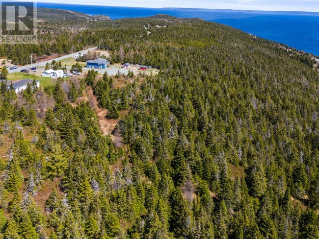 92 Bacon Cove Rd, Home with 0 bedrooms, 0 bathrooms and null parking in Conception Harbour NL | Image 5