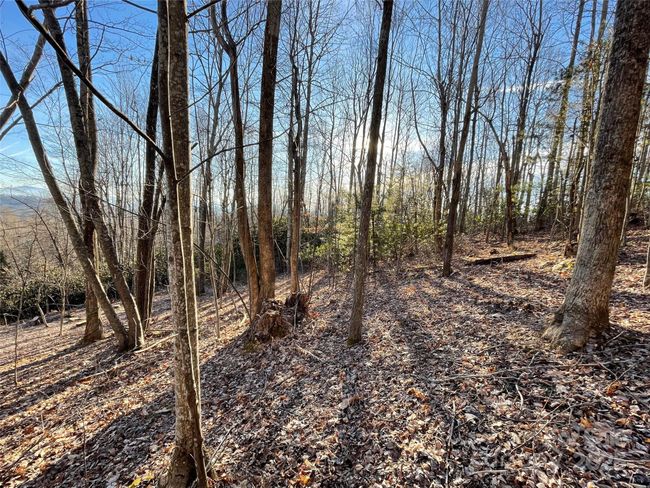 191 - 000 Hardwood Summit Dr, Home with 0 bedrooms, 0 bathrooms and null parking in Hendersonville NC | Image 14