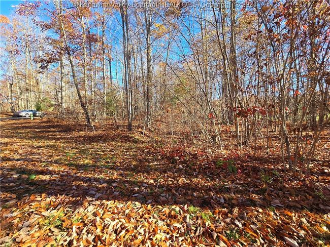 101 Chantry Ln, Home with 0 bedrooms, 0 bathrooms and null parking in Daniels WV | Image 17
