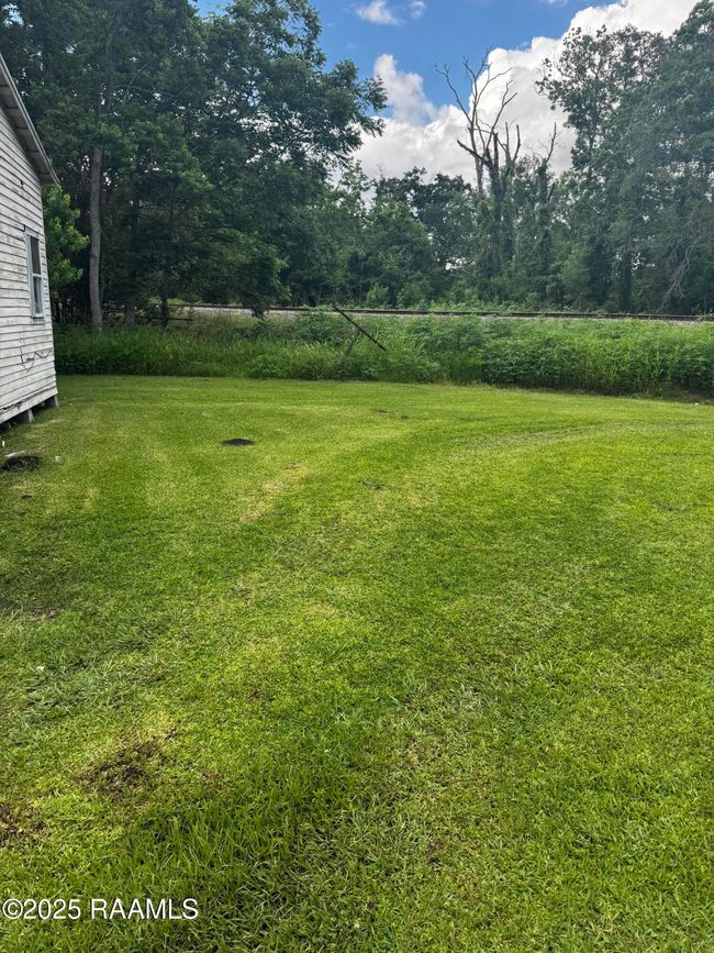 carl c yard | Image 7