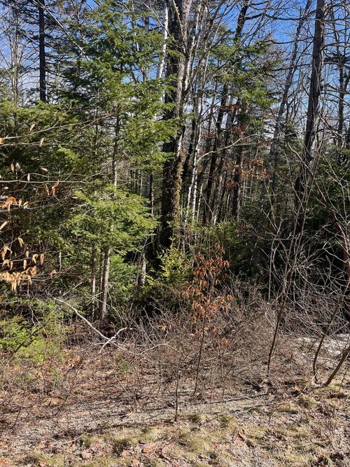 0 E Side Road, Steuben, ME, 04680 | Card Image