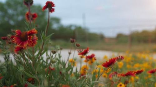 1722 Fm 574 W, Mullin, TX, 76864-2670 | Card Image