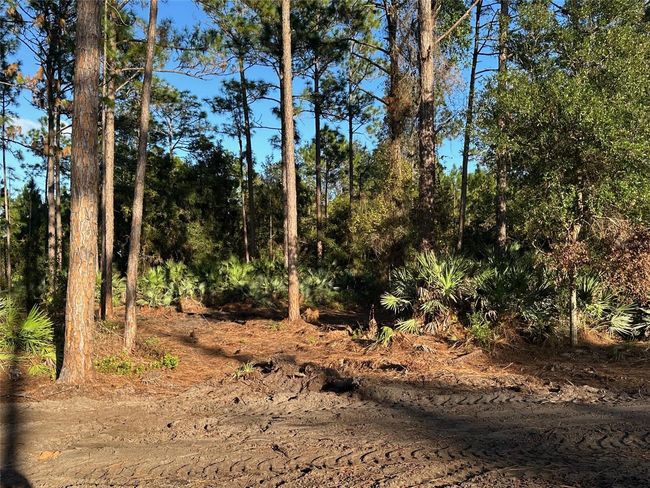 1090 Homestead Cove, Home with 0 bedrooms, 0 bathrooms and null parking in GENEVA FL | Image 7