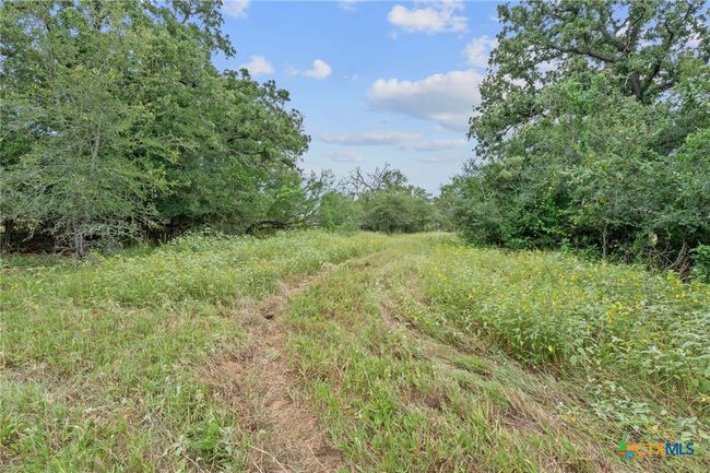 3597 Baker Rd, Home with 0 bedrooms, 0 bathrooms and null parking in Kingsbury TX | Image 23