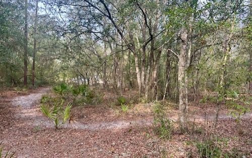 0 Nw 11th Ave, Bell, FL, 32619 | Card Image