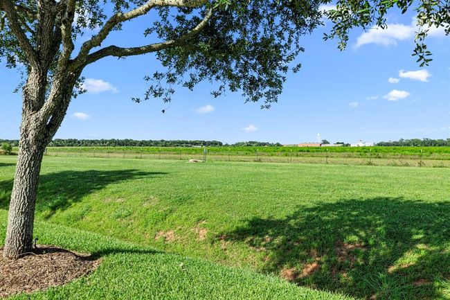 14214 Ayers Rock Rd, House other with 3 bedrooms, 2 bathrooms and 2 parking in Sugar Land TX | Image 37