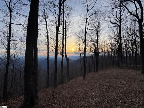 278 Bella Vista Ct, Zirconia, NC, 28790-0320 | Card Image