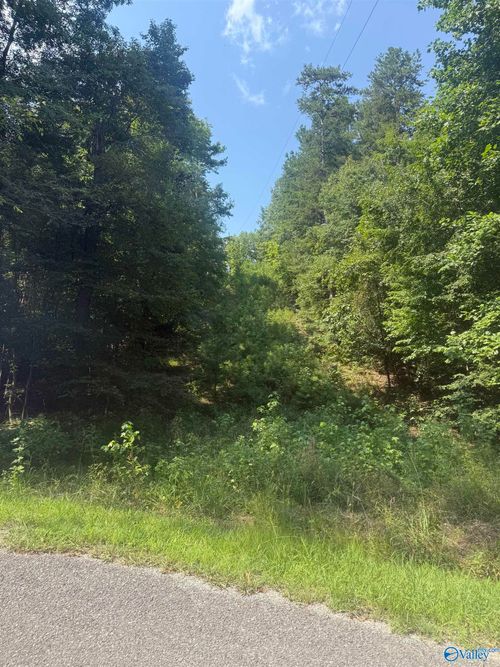 Pin 4158 County Road 136, Cedar Bluff, AL, 35959 | Card Image