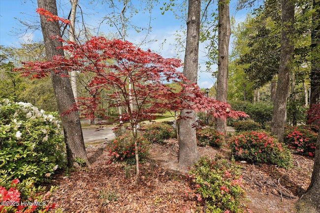 5509 Chelon Ave, House other with 5 bedrooms, 5 bathrooms and 2 parking in Wilmington NC | Image 82
