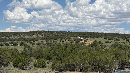 99 Teepee Tr Rd, Quemado, NM, 87829 | Card Image
