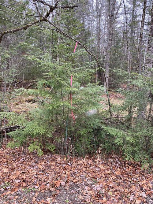 84 Vernon Avenue, Haverhill, NH, 03765 | Card Image