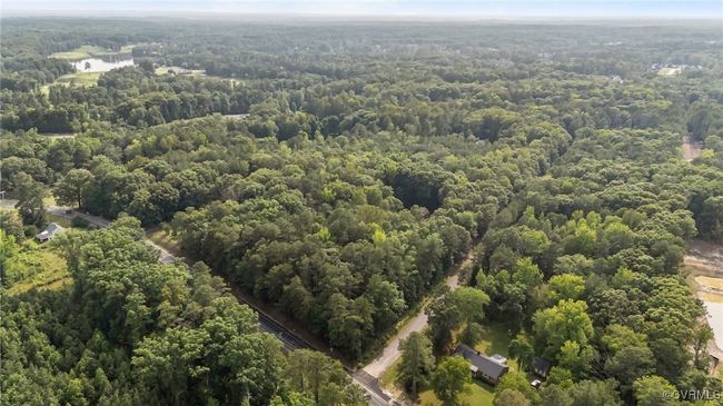 Bird's eye view of a forest | Image 40