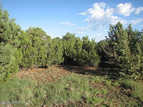 Sec 29 Chevelon Ave, Heber, AZ, 85928 | Card Image