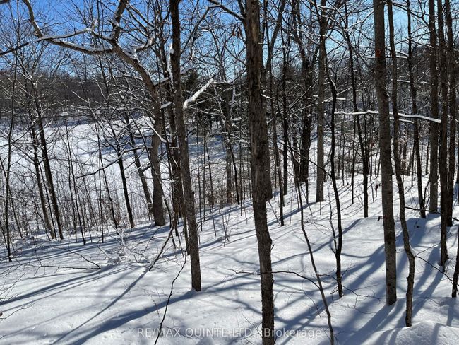 102 Atwood Lane, Home with 0 bedrooms, 0 bathrooms and null parking in South Frontenac ON | Image 11