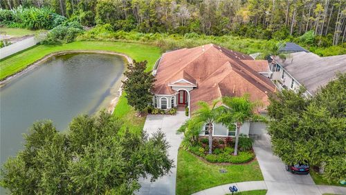 20952 Amanda Oak Ct, LAND O LAKES, FL, 34638-4346 | Card Image