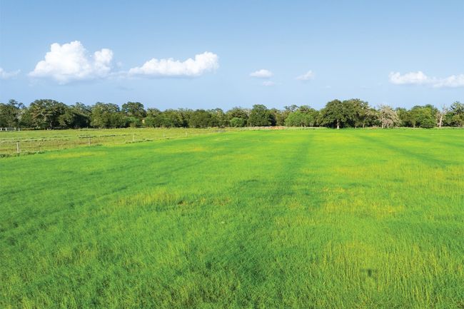 View of nature with a rural view | Image 5