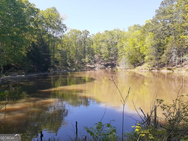 1368 Wash Brown Dr, Home with 0 bedrooms, 0 bathrooms and null parking in Elberton GA | Image 27