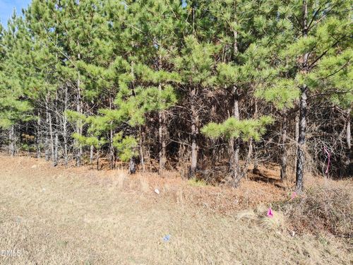 Lot 5 Windblow Rd, Jackson Springs, NC, 27281 | Card Image