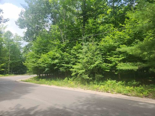 00 Birch View Trl, Lake Ann, MI, 49650 | Card Image