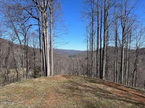 Tbd Roan Springs Ln, Roan Mountain, TN, 37687 | Card Image