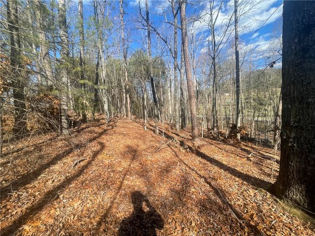 00 Academy Rd, Home with 0 bedrooms, 0 bathrooms and null parking in Mountain Rest SC | Image 29
