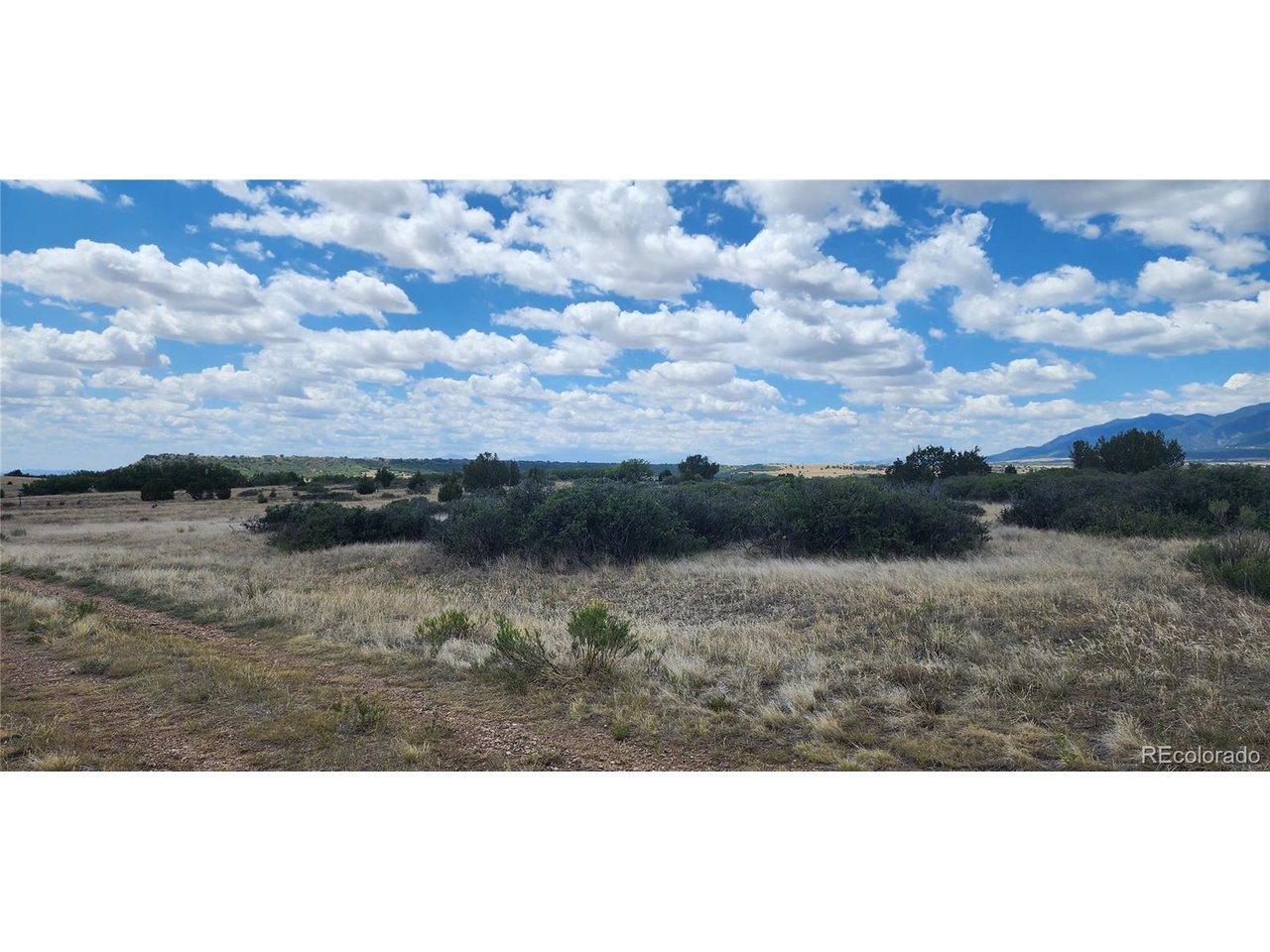 Land in Colorado City 4