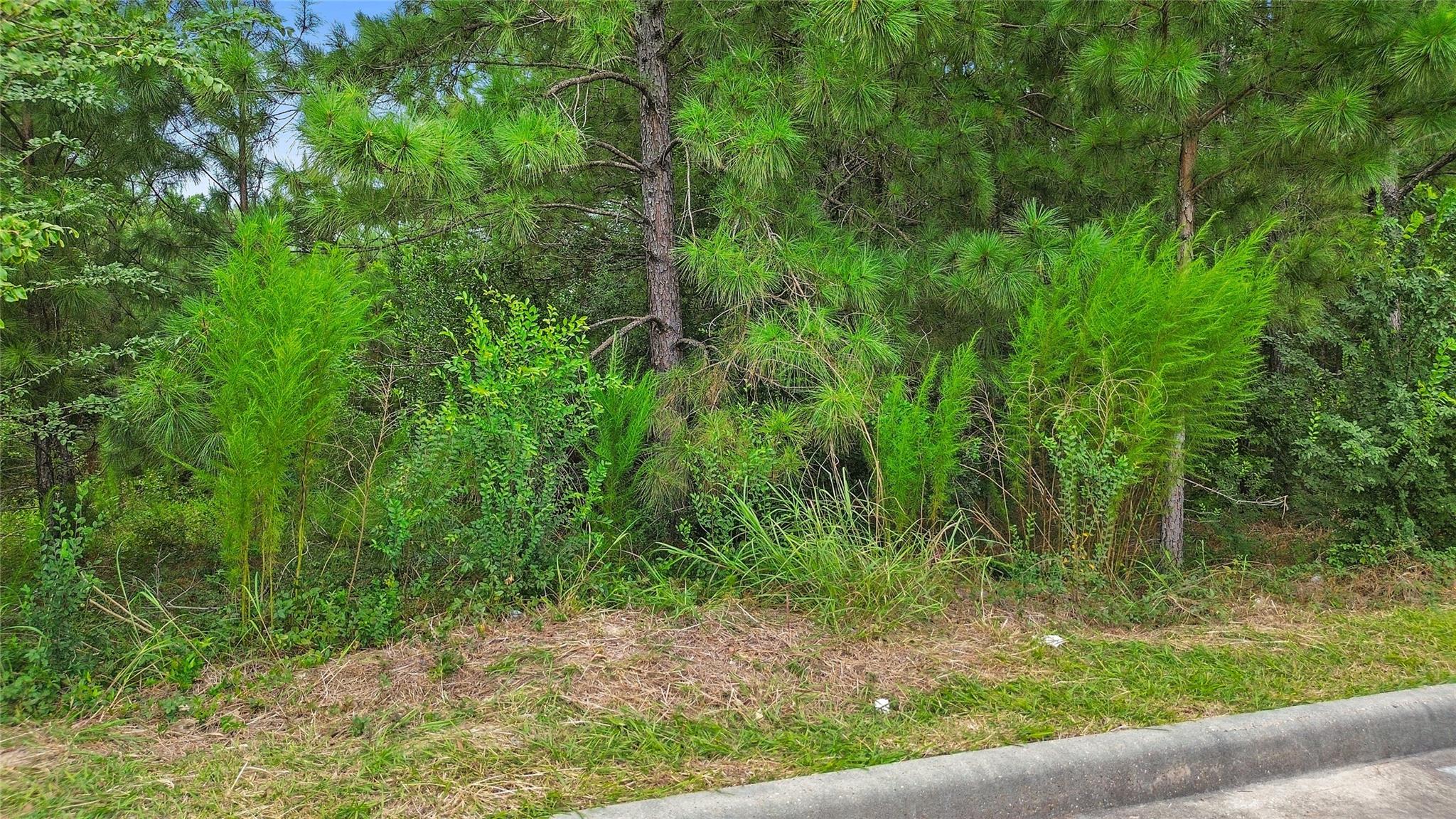 Land in Humble 5