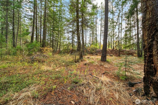 0 S Shugart Flats Rd, Home with 0 bedrooms, 0 bathrooms and null parking in Leavenworth WA | Image 25