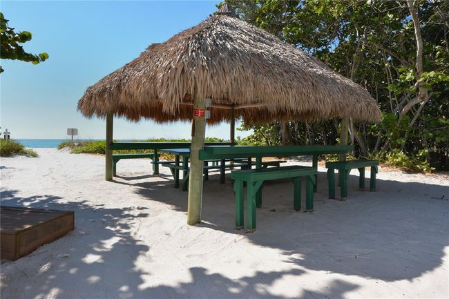 Tiki Hut | Image 44