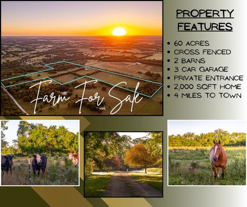 000 Placer Ln, Willard, MO, 65781 | Card Image