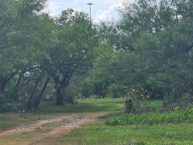 6685 Interstate 20, Home with 0 bedrooms, 0 bathrooms and null parking in Ranger TX | Image 19