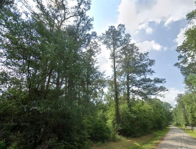 0 N Fm 3083 Rd W, Home with 0 bedrooms, 0 bathrooms and null parking in Conroe TX | Image 14
