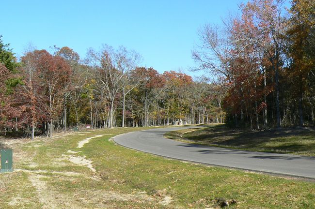 9122 Safari Blf, Home with 0 bedrooms, 0 bathrooms and null parking in Larue TX | Image 26