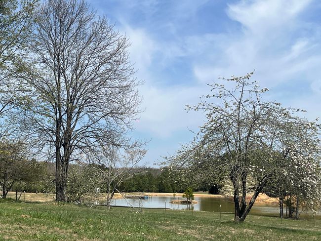 View of pond | Image 22