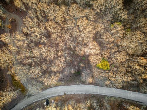 177 Sunset Bluff Rd, Monteagle, TN, 37356 | Card Image